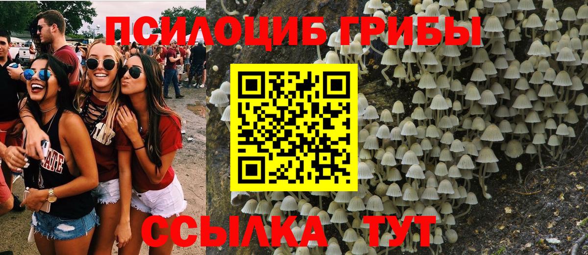 Псилоцибиновые грибы Psilocybe  Вход с VPN  Барнаул  Псилоцибиновые грибы прущие грибы 